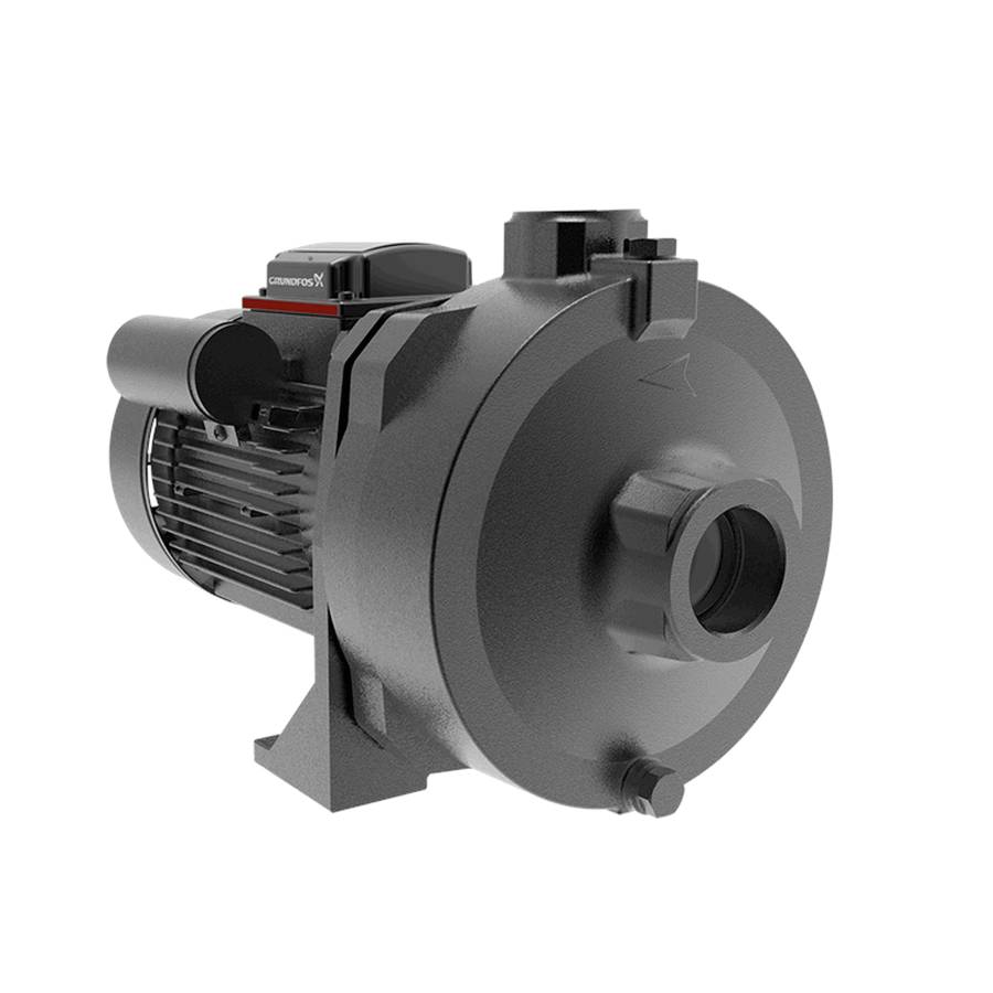 Фото Насос центробежный моноблочный Grundfos NS